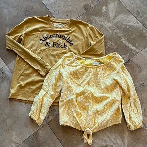 Abercrombie shorts 2 pack